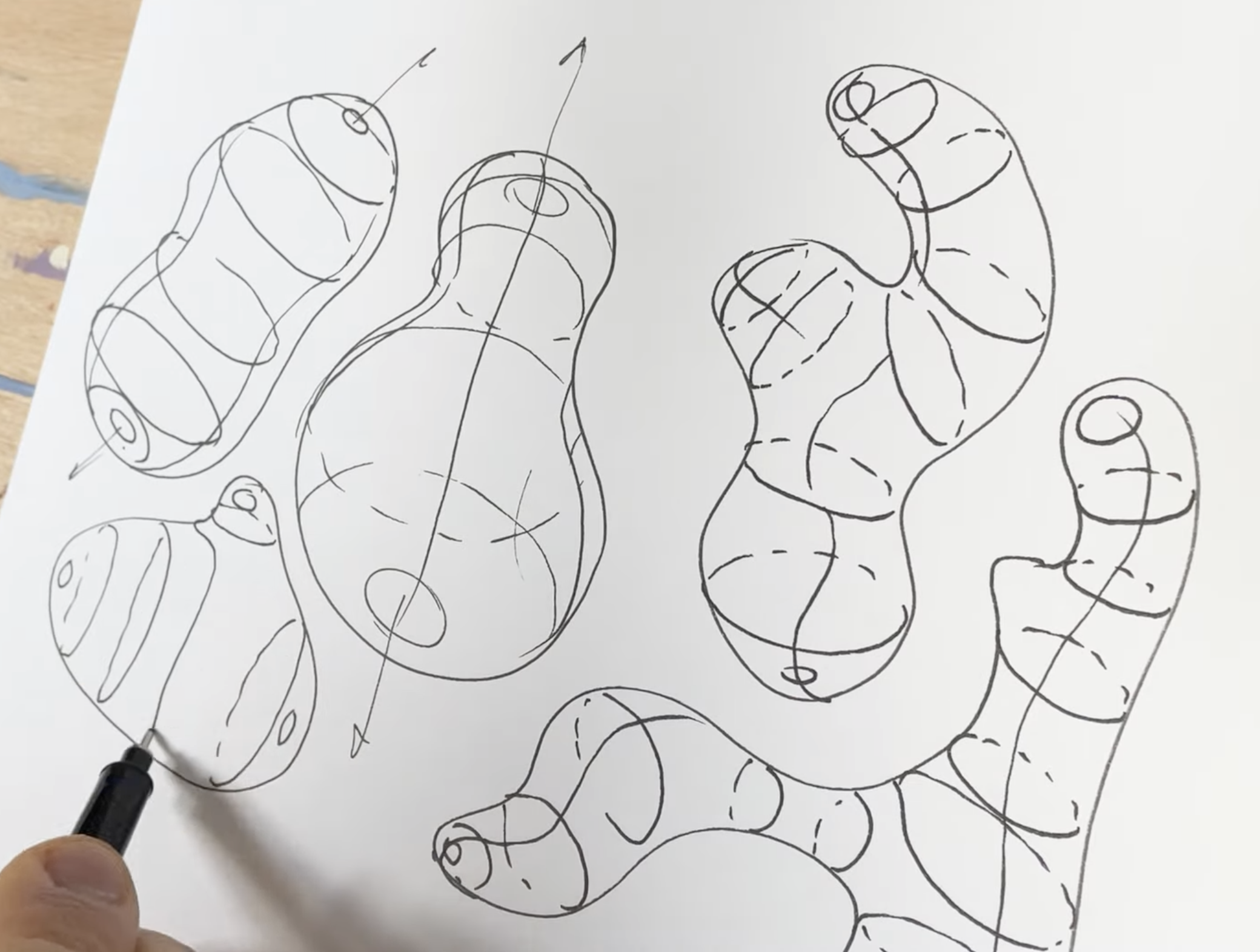 Lesson 2 (warm up): Cross Contour Drawing (10 mins)